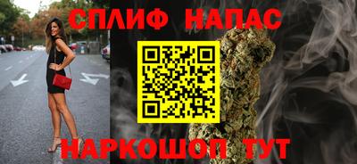 гидропоника Владимир