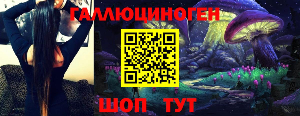 Галлюциногенные грибы Psilocybine cubensis  Вход с VPN  Аргун 